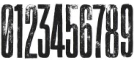 Vienna Woodtype Rough otf (400) Font OTHER CHARS