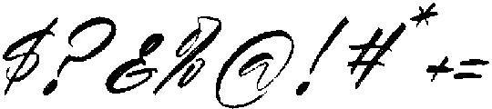 Vintage Cherry Blossom Italic Italic otf (400) Font OTHER CHARS