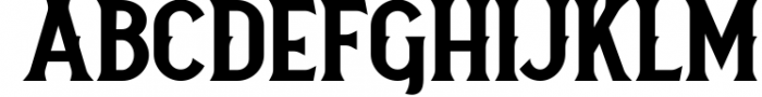 Vintage Font Bundle | 49 Fonts in 1 31 Font LOWERCASE