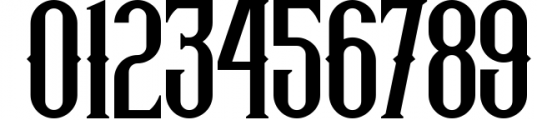 Vintage Font Bundle | 49 Fonts in 1 34 Font OTHER CHARS