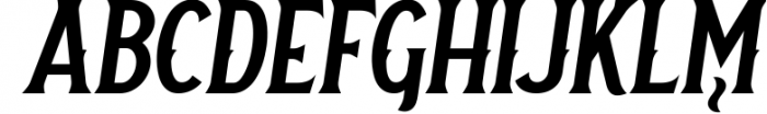 Vintage Font Bundle | 49 Fonts in 1 35 Font UPPERCASE