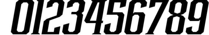 Vintage Font Bundle | 49 Fonts in 1 43 Font OTHER CHARS