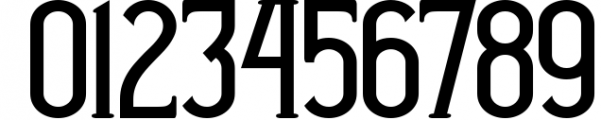 Vintage Font Bundle | 49 Fonts in 1 9 Font OTHER CHARS