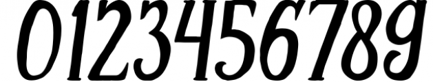 Vintage Font Bundle | 49 Fonts in 1 Font OTHER CHARS