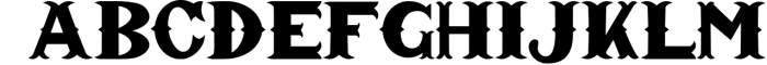 Vintage King - Decorative Serif Font Font LOWERCASE