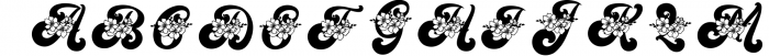 Vintage Queen Monogram Font - 4 Style Monogram 1 Font UPPERCASE