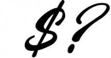 Vintage Style - Bold Script Font Font OTHER CHARS