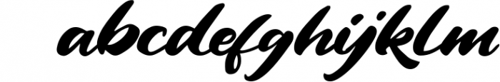 Vintage Style - Bold Script Font Font LOWERCASE