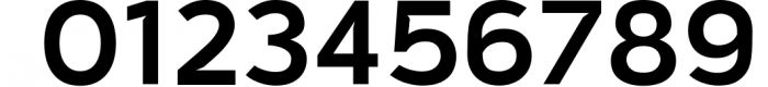 Vitala - A Workhorse Sans-Serif 6 Font OTHER CHARS