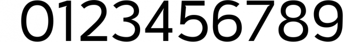 Vitala - A Workhorse Sans-Serif 8 Font OTHER CHARS