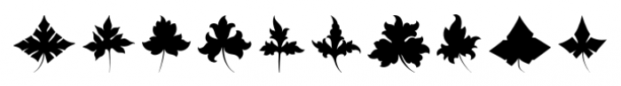 Victorian Ornaments Leaf Font OTHER CHARS