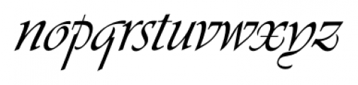 Vivaldi Script FS Regular Font LOWERCASE
