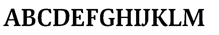 Viale Bold Font UPPERCASE
