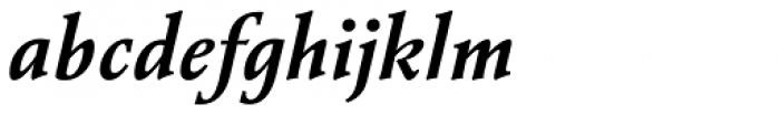 Vianova Serif Pro Bold Italic Font LOWERCASE