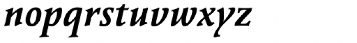 Vianova Serif Pro Bold Italic Font LOWERCASE