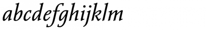 Vianova Serif Pro Italic Font LOWERCASE