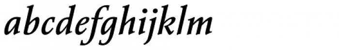 Vianova Serif Pro Medium Italic Font LOWERCASE