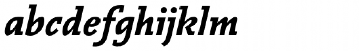 Vianova Slab Pro ExtraBold Italic Font LOWERCASE
