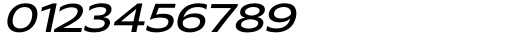 Vilsuve Regular Oblique Font OTHER CHARS