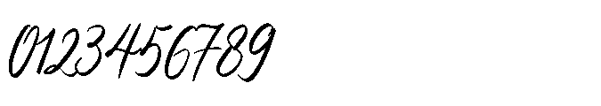 Vintage Market Script Font OTHER CHARS