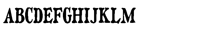 Vintage Market Serif Font UPPERCASE