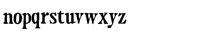 Vintage Market Serif Font LOWERCASE