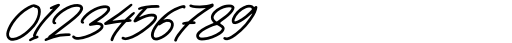 Vintage Signature Regular Font OTHER CHARS