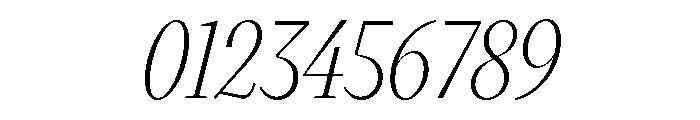 VictorNarrow 35LightItalic Font OTHER CHARS