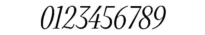 VictorNarrow 45RegularItalic Font OTHER CHARS