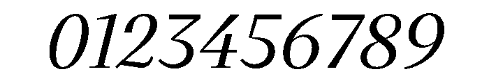 VictorSerif 55MediumItalic Font OTHER CHARS
