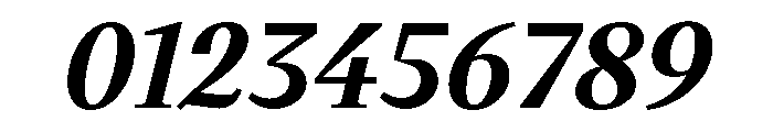 VictorSerif 75BoldItalic Font OTHER CHARS