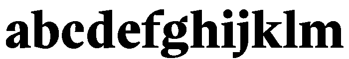 VictorSerif 80Black FONT