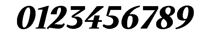VictorSerif 85BlackItalic Font OTHER CHARS