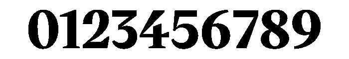 VictorSerif Black Instance Font OTHER CHARS