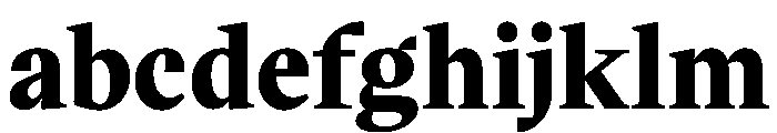 VictorSerif Black Instance FONT