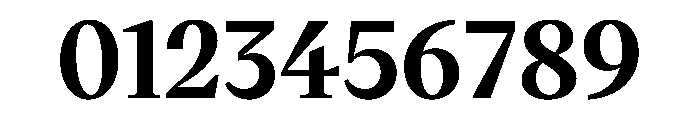 VictorSerif Bold Instance Font OTHER CHARS
