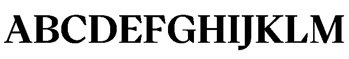 VictorSerif Bold Instance Font UPPERCASE