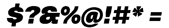 Vinila BlackOblique Instance Font OTHER CHARS