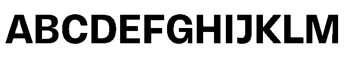 Vinila Bold Instance Font UPPERCASE