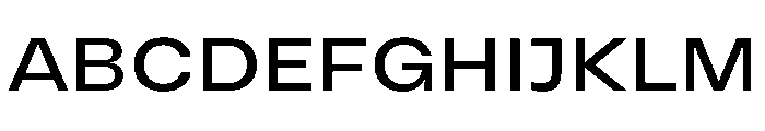 Vinila Extended Font UPPERCASE