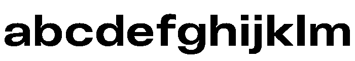 Vinila ExtendedBold Instance FONT