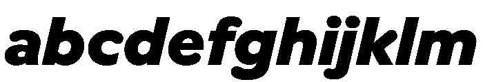Vitamiin BlackItalic FONT