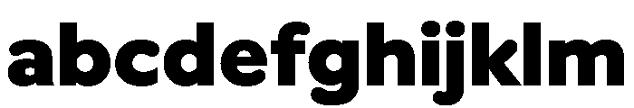 Vitamiin Black FONT