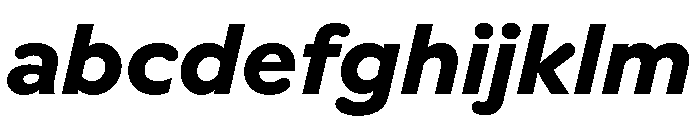 Vitamiin BoldItalic FONT