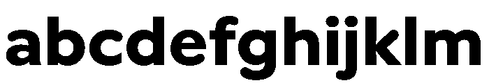 Vitamiin Bold FONT