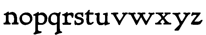 Village Regular Font LOWERCASE