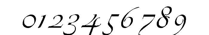 Vivaldi Regular Font OTHER CHARS