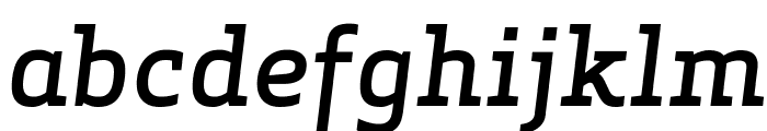 ApexSerif MediumItalic Font LOWERCASE