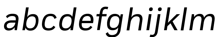 Fort BookItalic Font LOWERCASE