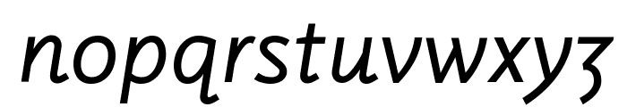 LuxSans BookItalic Font LOWERCASE